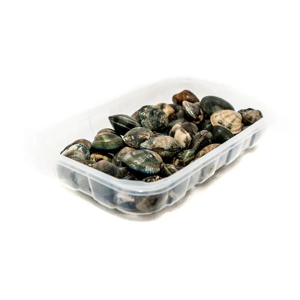 [SF059] Goro Pesca Fresh Vongole Clam 1kg/pack