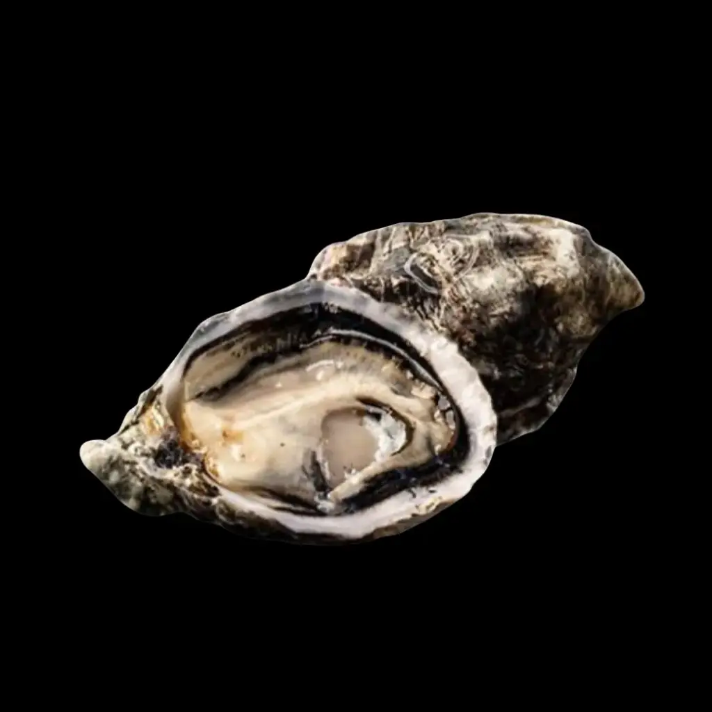 Gillardeau Oysters No.3 24 pcs