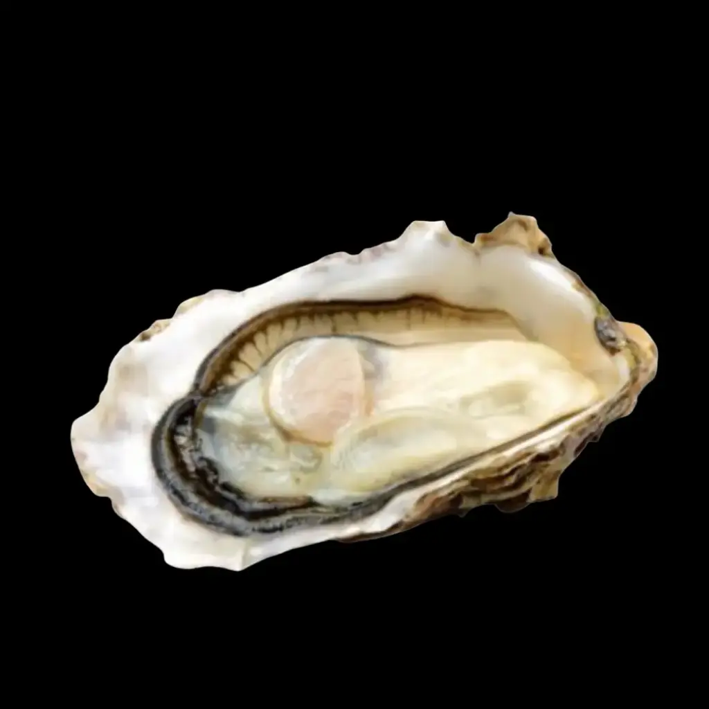 Muirgen Irish Oysters No.3 50 pcs