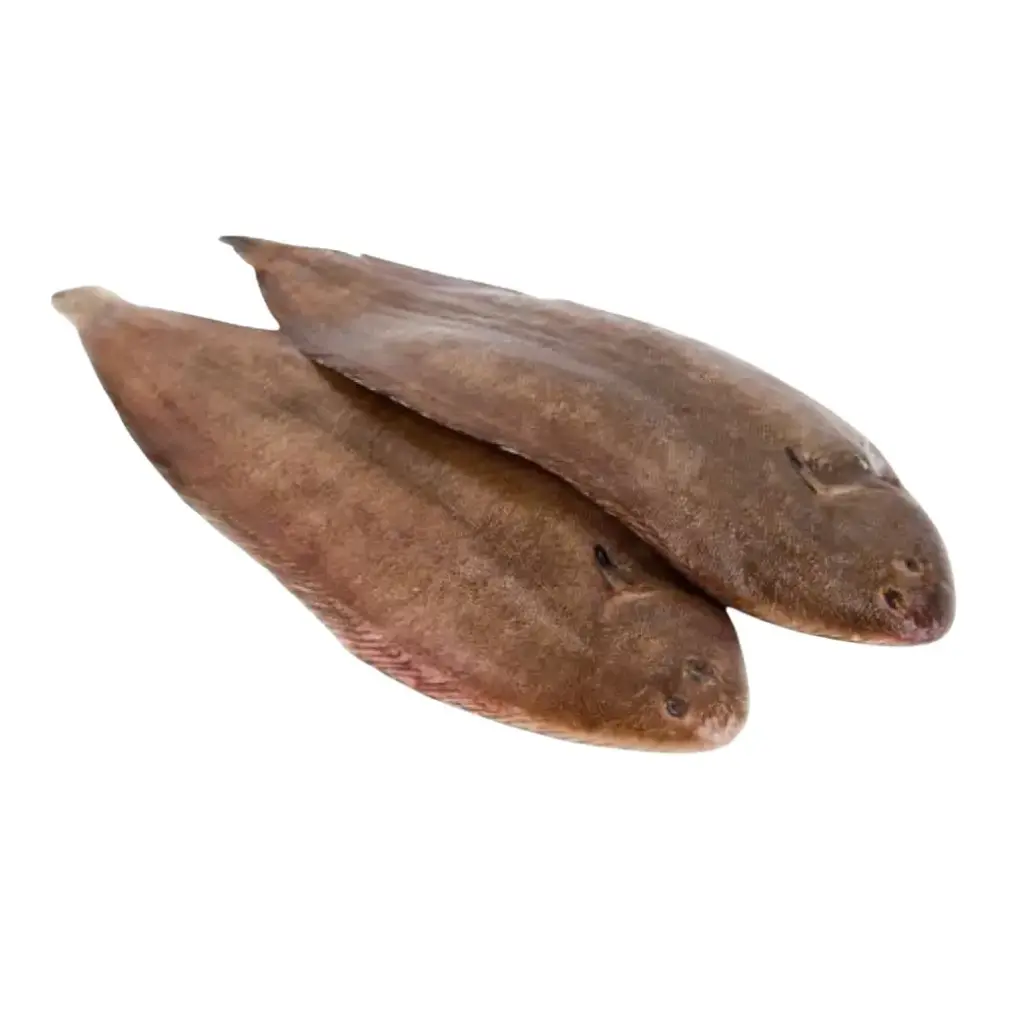 Dover Sole - Skin On,Head On, Gutted IQF (400-600g/pc) (3kg/pack/5pc)